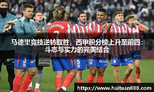 3377体育官网