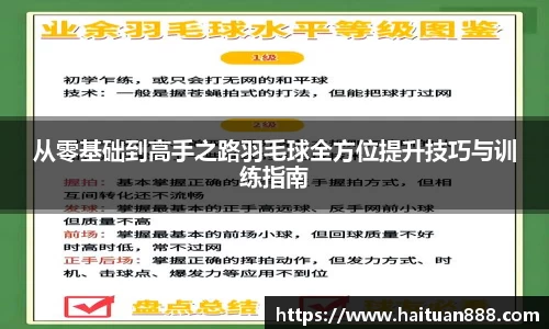 从零基础到高手之路羽毛球全方位提升技巧与训练指南