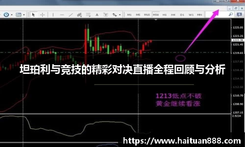 坦珀利与竞技的精彩对决直播全程回顾与分析