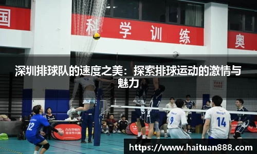 深圳排球队的速度之美：探索排球运动的激情与魅力