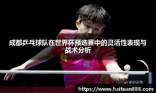 3377体育APP