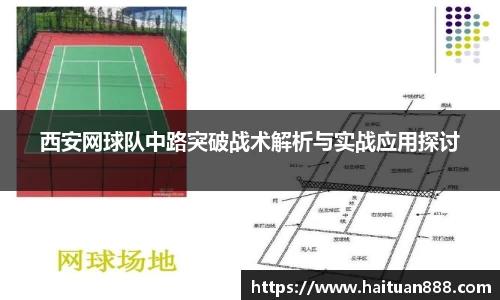 3377体育官网