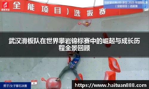 3377体育官网